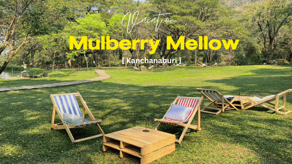 3 คาเฟ่พาคนรู้ใจไปเดท กาญจนบุรี Mulberry mellow