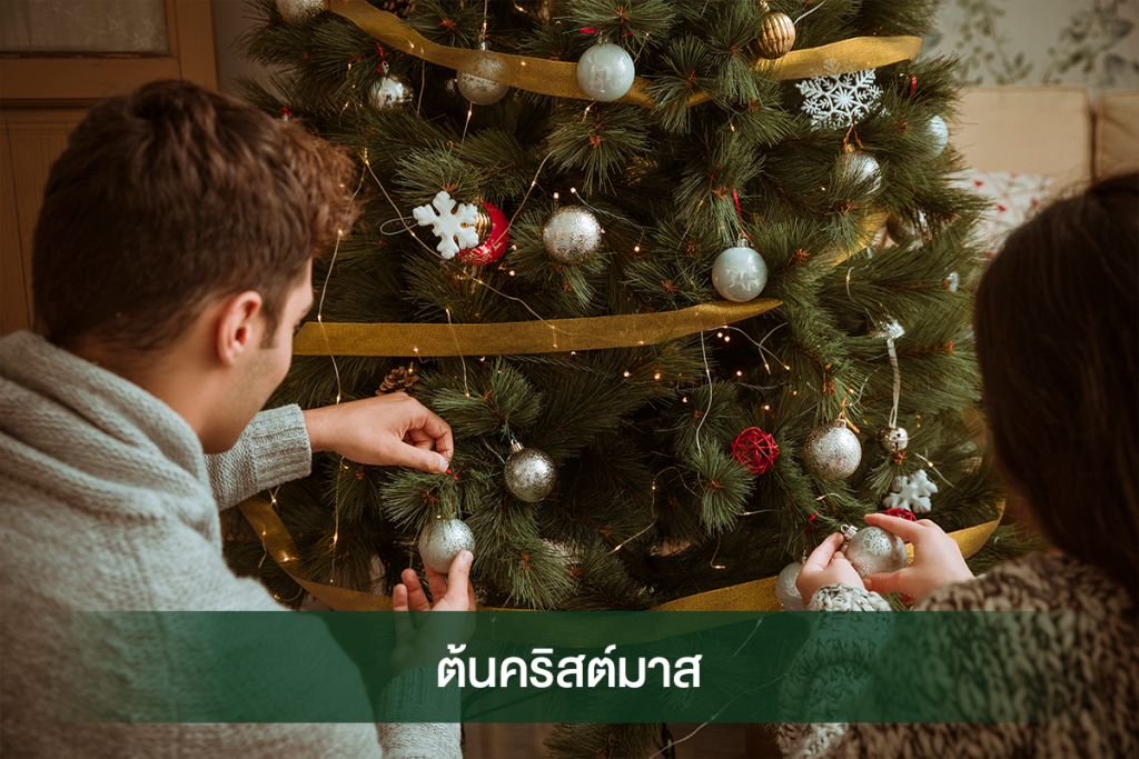 ต้นคริสต์มาสตกแต่งบ้านและคอนโด - Chirstmas's Day