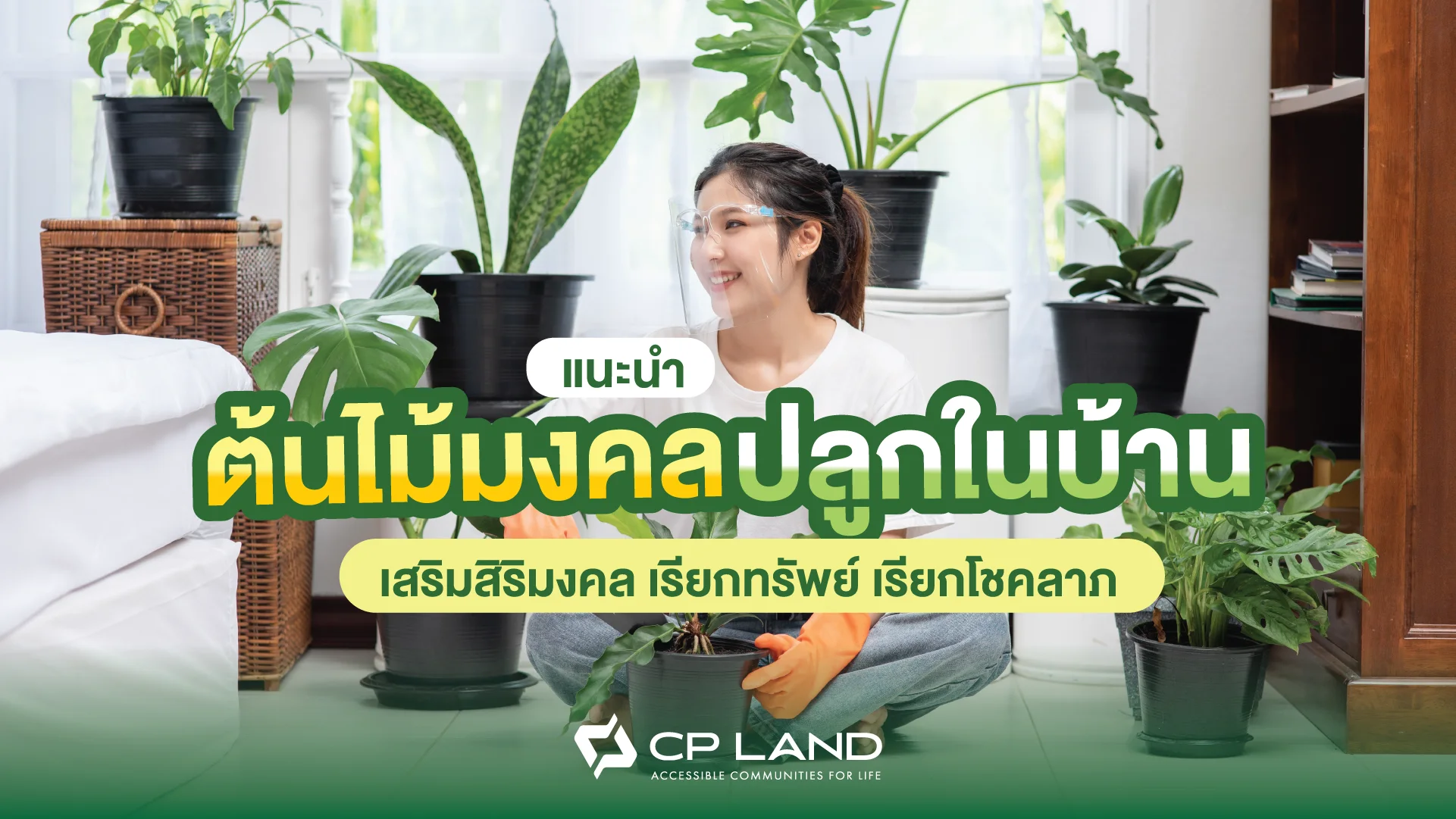 lucky plants at home