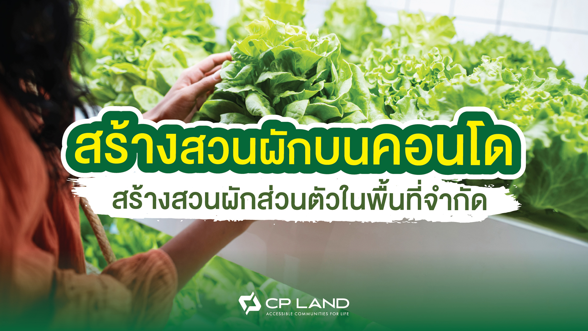 ปลูกผักบนคอนโด-สร้างสวนผักส่วนตัวในพื้นที่จำกัด