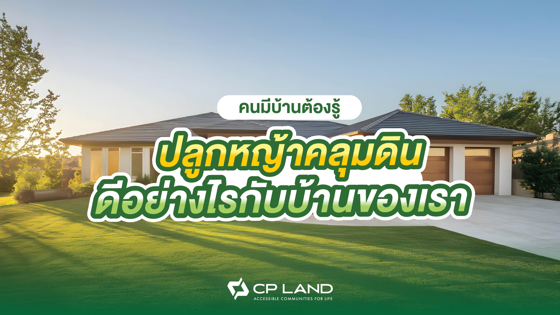 คนมีบ้านต้องรู้ ปลูกหญ้าคลุมดิน ดีอย่างไร