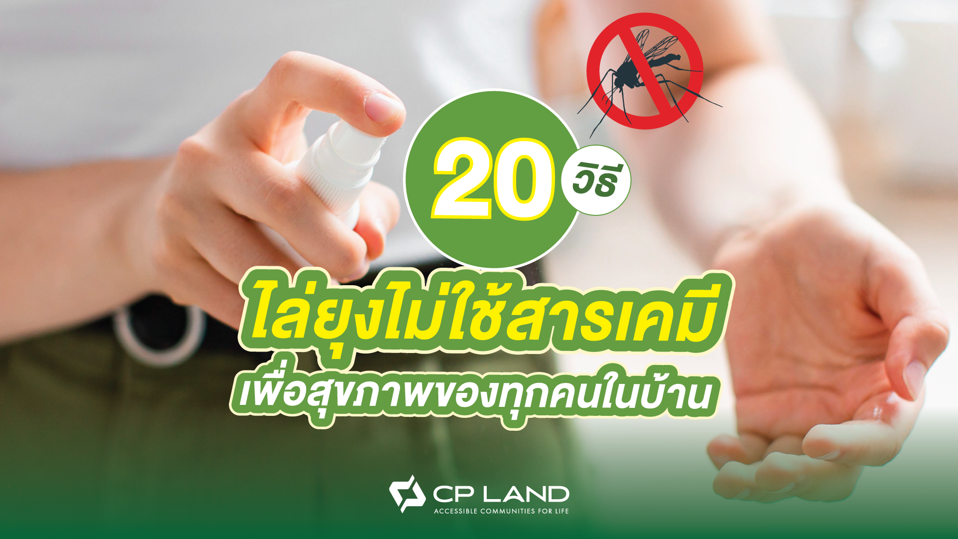 20 วิธีไล่ยุงไม่ใช้สารเคมี เพื่อสุขภาพของทุกคนในบ้าน